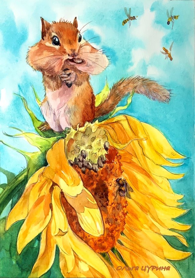 14.1.1 бурундук на выбор